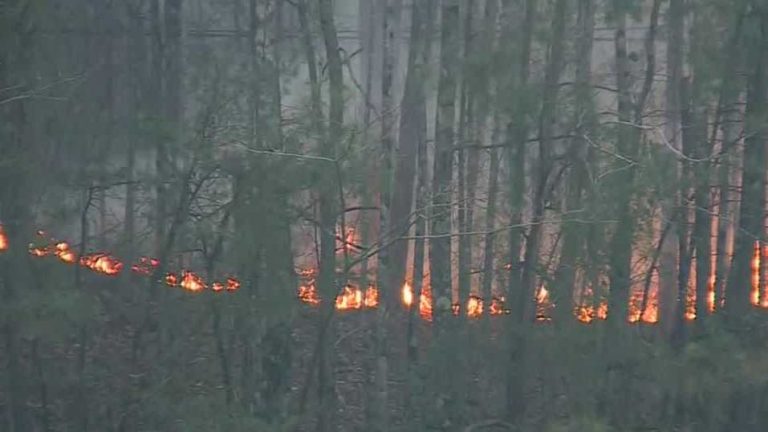 Wildfires burn across Alabama